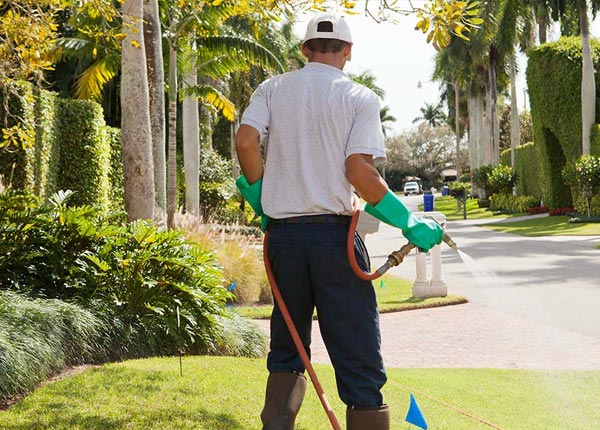 About Wainscott NY Pest Control Pros
